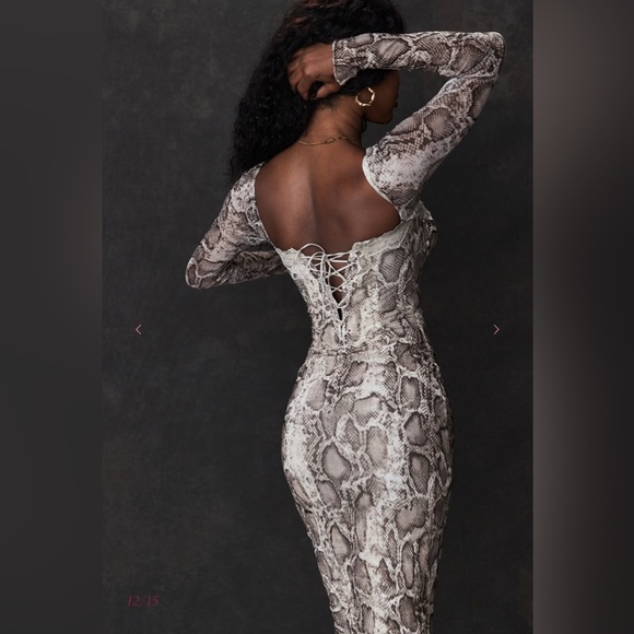 SERAPHINA
Snake Print Corset Dress - Picture 7 of 10
